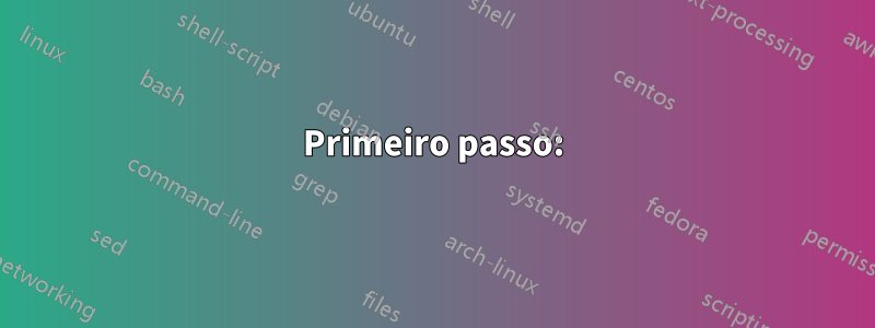 Primeiro passo: