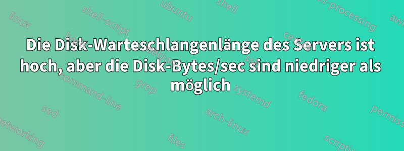 Die Disk-Warteschlangenlänge des Servers ist hoch, aber die Disk-Bytes/sec sind niedriger als möglich