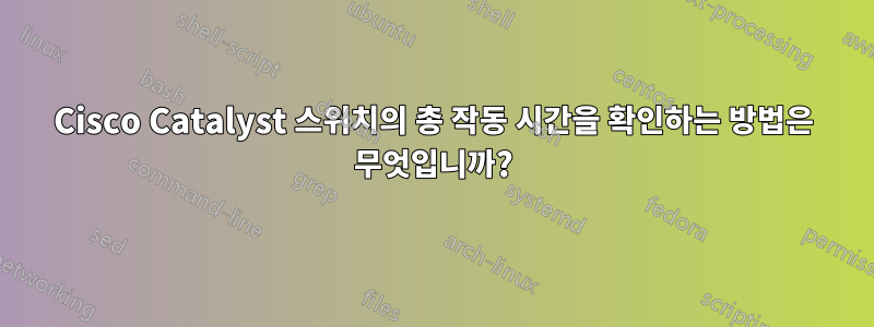 Cisco Catalyst 스위치의 총 작동 시간을 확인하는 방법은 무엇입니까?