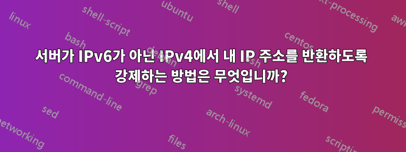 서버가 IPv6가 아닌 IPv4에서 내 IP 주소를 반환하도록 강제하는 방법은 무엇입니까?