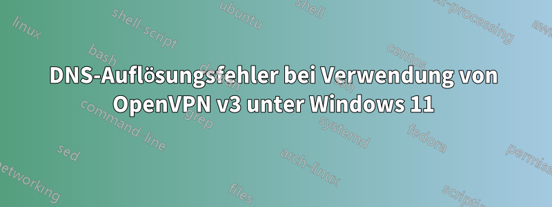 DNS-Auflösungsfehler bei Verwendung von OpenVPN v3 unter Windows 11
