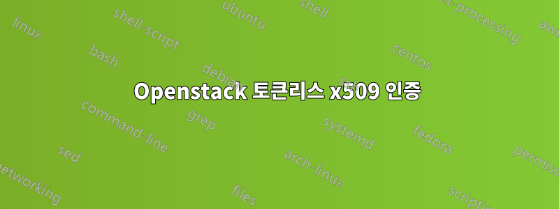 Openstack 토큰리스 x509 인증