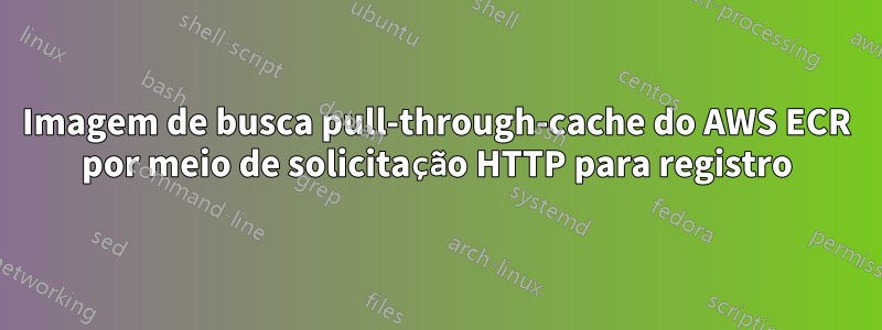 Imagem de busca pull-through-cache do AWS ECR por meio de solicitação HTTP para registro