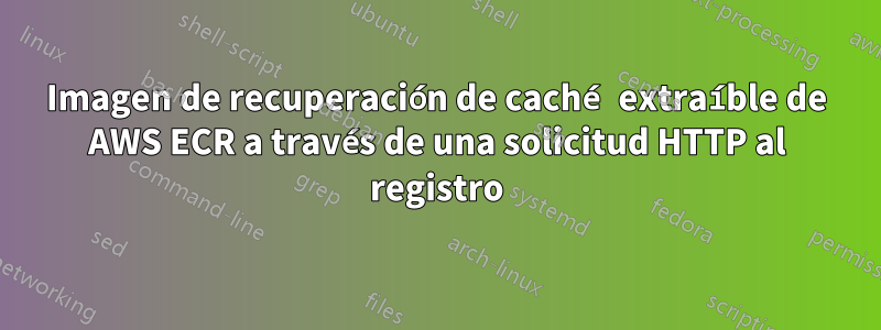 Imagen de recuperación de caché extraíble de AWS ECR a través de una solicitud HTTP al registro