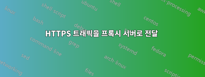 HTTPS 트래픽을 프록시 서버로 전달