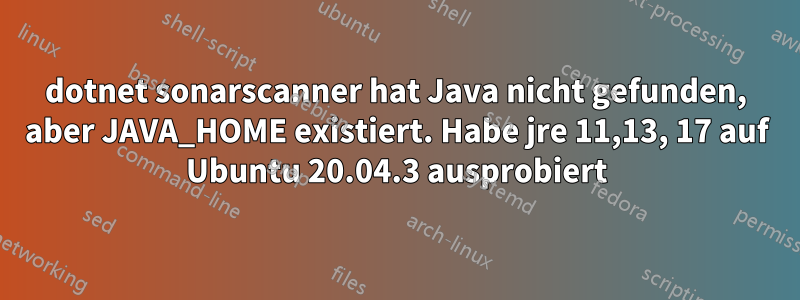 dotnet sonarscanner hat Java nicht gefunden, aber JAVA_HOME existiert. Habe jre 11,13, 17 auf Ubuntu 20.04.3 ausprobiert