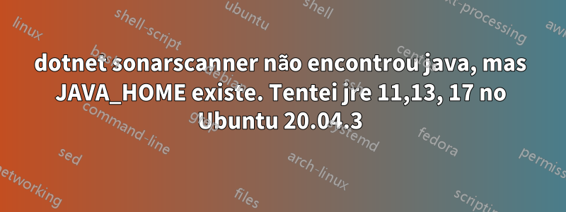 dotnet sonarscanner não encontrou java, mas JAVA_HOME existe. Tentei jre 11,13, 17 no Ubuntu 20.04.3