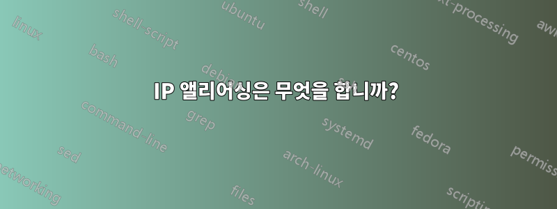 IP 앨리어싱은 무엇을 합니까?