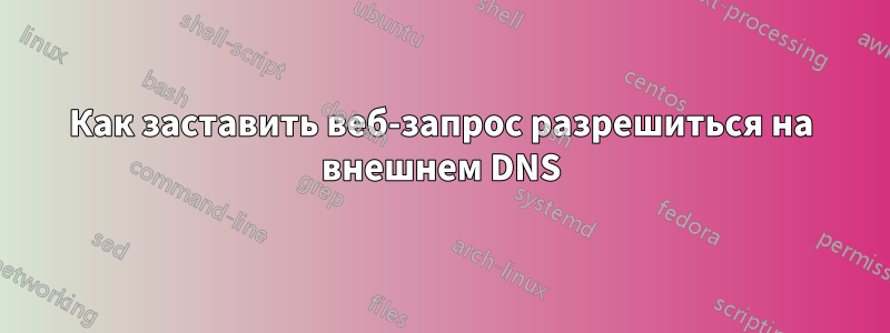 Как заставить веб-запрос разрешиться на внешнем DNS