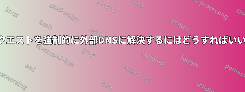 ウェブリクエストを強制的に外部DNSに解決するにはどうすればいいですか？