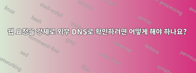 웹 요청을 강제로 외부 DNS로 확인하려면 어떻게 해야 하나요?