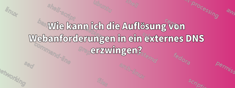 Wie kann ich die Auflösung von Webanforderungen in ein externes DNS erzwingen?