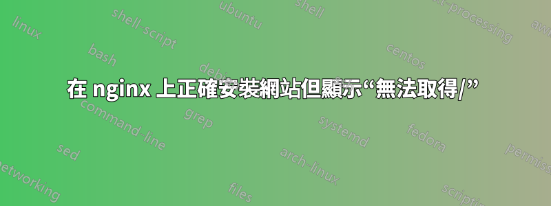 在 nginx 上正確安裝網站但顯示“無法取得/”