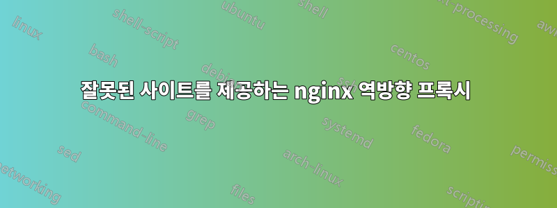 잘못된 사이트를 제공하는 nginx 역방향 프록시