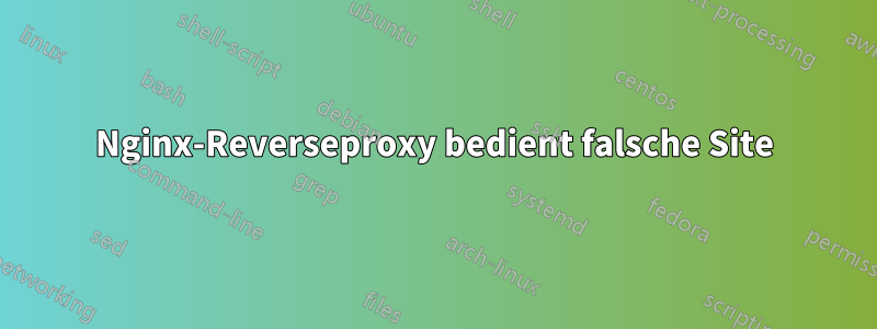 Nginx-Reverseproxy bedient falsche Site