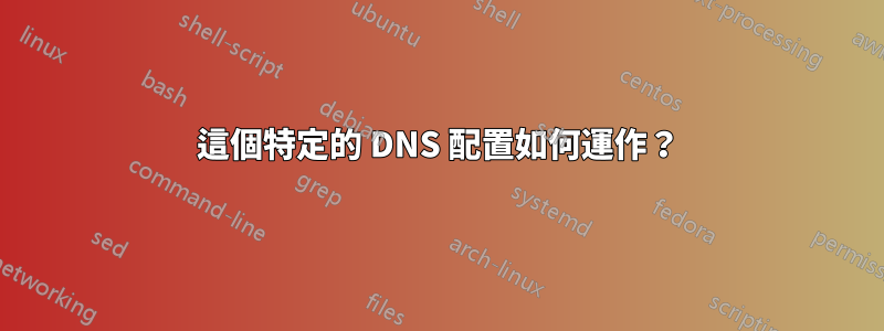 這個特定的 DNS 配置如何運作？