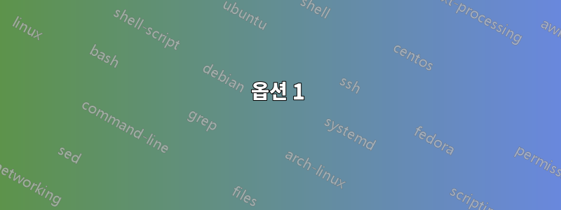 옵션 1