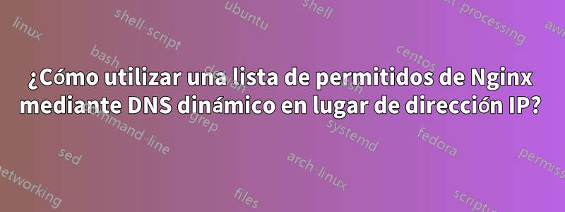 ¿Cómo utilizar una lista de permitidos de Nginx mediante DNS dinámico en lugar de dirección IP?