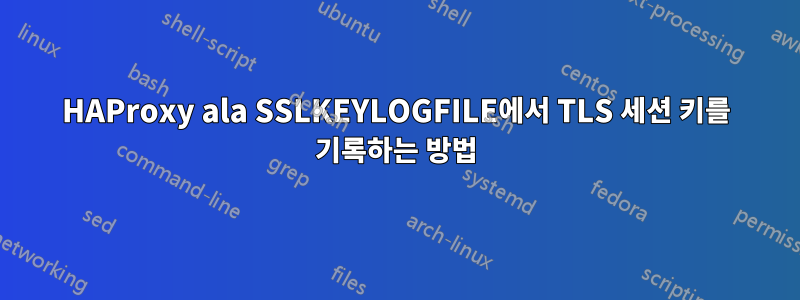 HAProxy ala SSLKEYLOGFILE에서 TLS 세션 키를 기록하는 방법