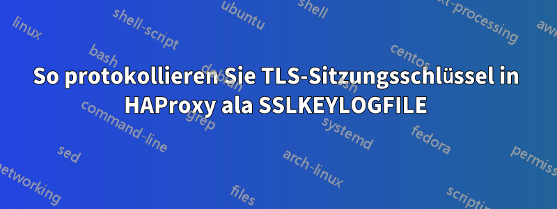 So protokollieren Sie TLS-Sitzungsschlüssel in HAProxy ala SSLKEYLOGFILE