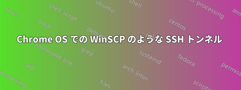 Chrome OS での WinSCP のような SSH トンネル