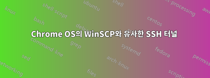 Chrome OS의 WinSCP와 유사한 SSH 터널