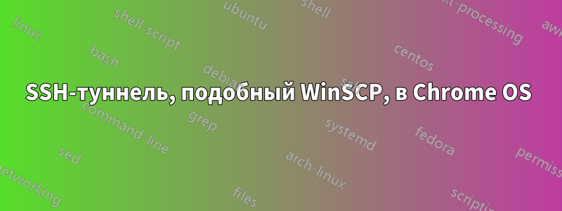 SSH-туннель, подобный WinSCP, в Chrome OS