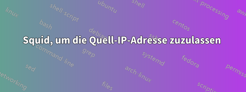 Squid, um die Quell-IP-Adresse zuzulassen