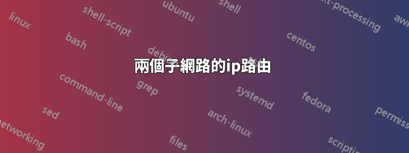 兩個子網路的ip路由