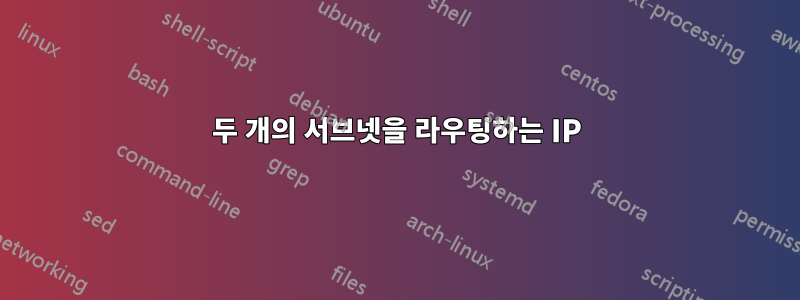 두 개의 서브넷을 라우팅하는 IP
