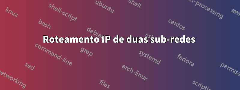 Roteamento IP de duas sub-redes