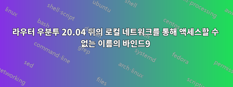 라우터 우분투 20.04 뒤의 로컬 네트워크를 통해 액세스할 수 없는 이름의 바인드9