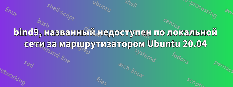 bind9, названный недоступен по локальной сети за маршрутизатором Ubuntu 20.04