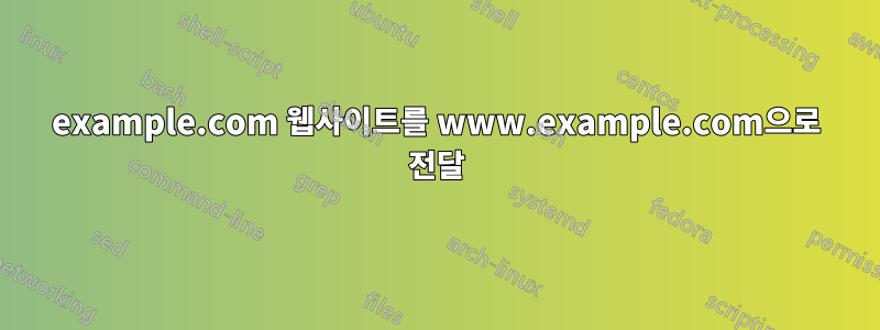 example.com 웹사이트를 www.example.com으로 전달