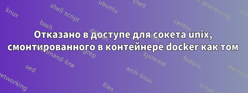Отказано в доступе для сокета unix, смонтированного в контейнере docker как том
