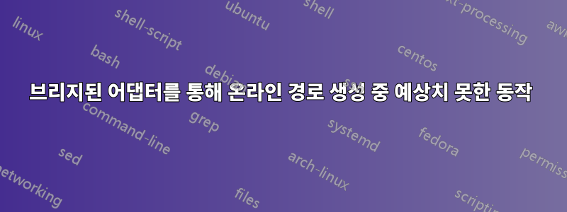 브리지된 어댑터를 통해 온라인 경로 생성 중 예상치 못한 동작