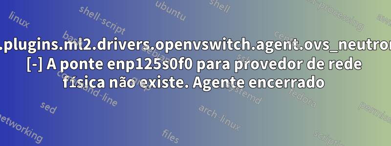 neutron.plugins.ml2.drivers.openvswitch.agent.ovs_neutron_agent [-] A ponte enp125s0f0 para provedor de rede física não existe. Agente encerrado