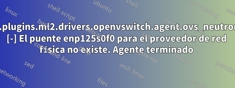 neutron.plugins.ml2.drivers.openvswitch.agent.ovs_neutron_agent [-] El puente enp125s0f0 para el proveedor de red física no existe. Agente terminado