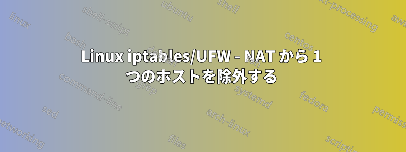 Linux iptables/UFW - NAT から 1 つのホストを除外する