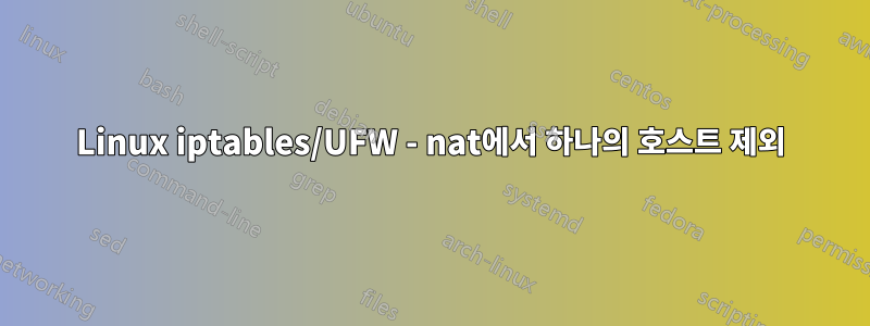 Linux iptables/UFW - nat에서 하나의 호스트 제외