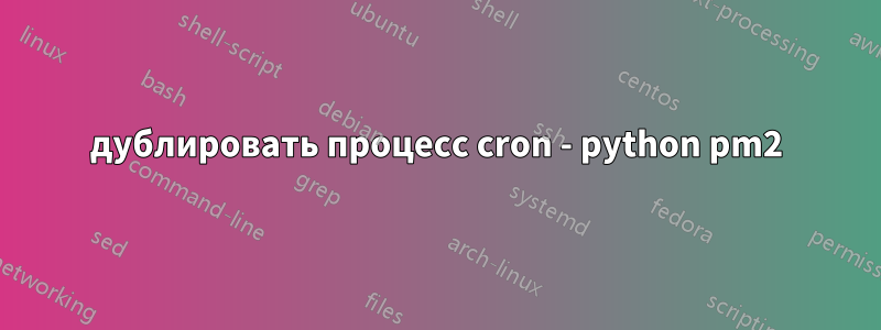 дублировать процесс cron - python pm2