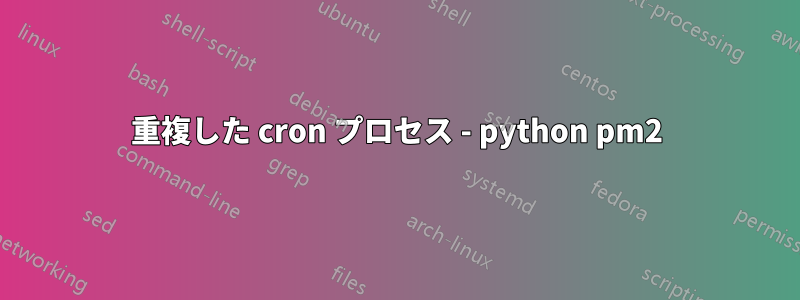 重複した cron プロセス - python pm2