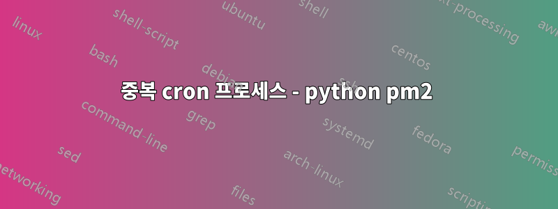 중복 cron 프로세스 - python pm2