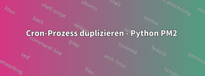 Cron-Prozess duplizieren - Python PM2