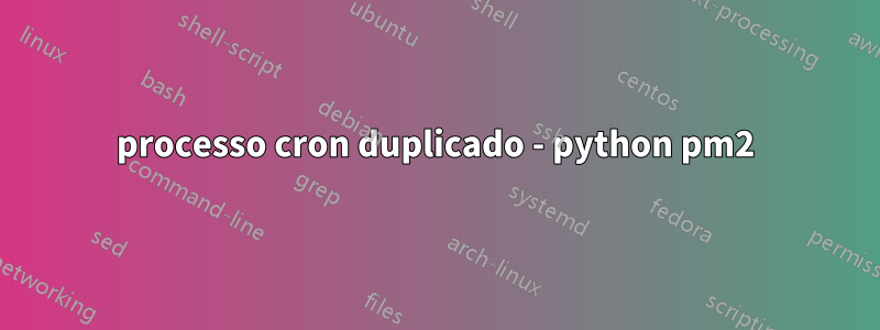 processo cron duplicado - python pm2