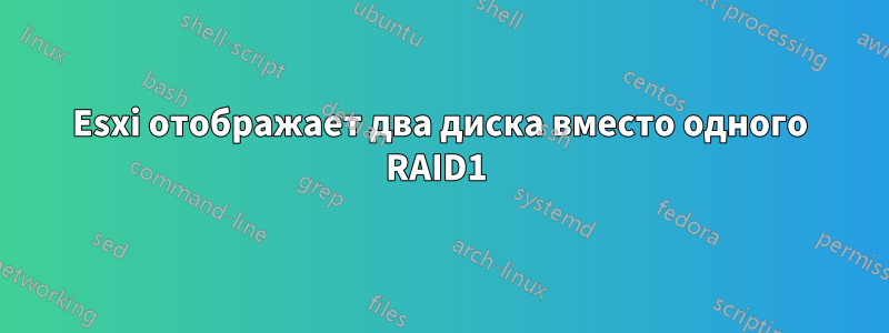 Esxi отображает два диска вместо одного RAID1 