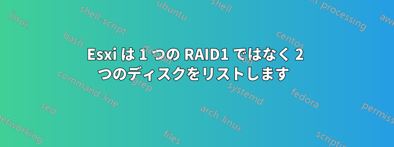 Esxi は 1 つの RAID1 ではなく 2 つのディスクをリストします 