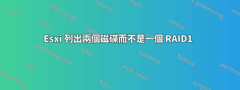 Esxi 列出兩個磁碟而不是一個 RAID1 