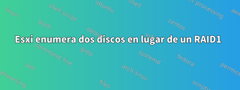 Esxi enumera dos discos en lugar de un RAID1 