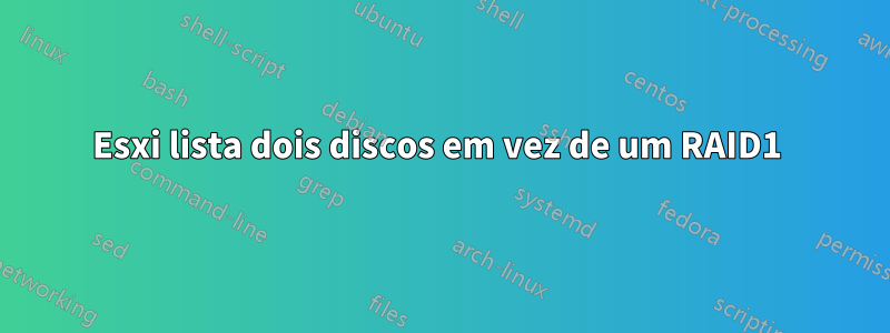 Esxi lista dois discos em vez de um RAID1 